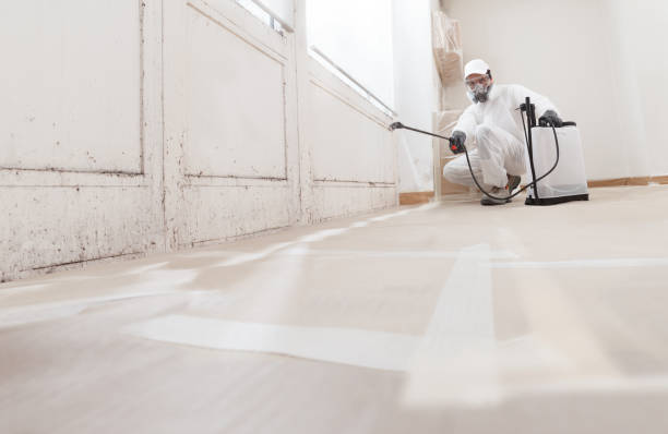 24/7 Emergency Attic Mold Remediation experts in White Plains, MD